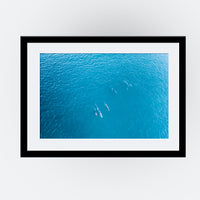 Mandurah Dolphins