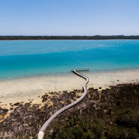 Mandurah Thrombolites