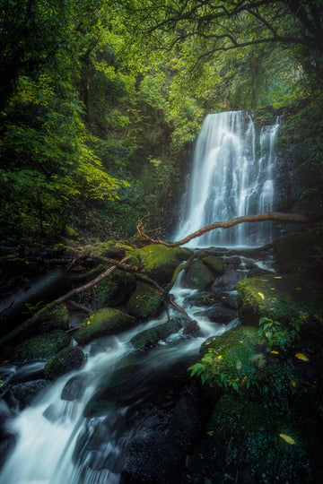 Matai Falls New Zealand