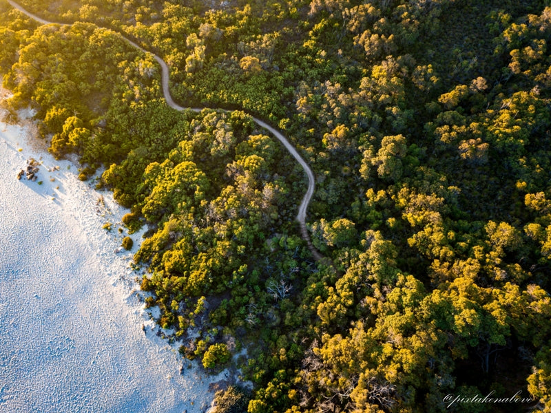Meelup Beach Forest Walk
