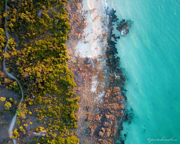 Meelup Beach Tricolor