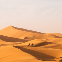 Merzouga Strolls