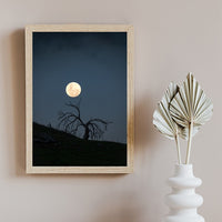 Midlands Moonrise