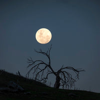 Midlands Moonrise