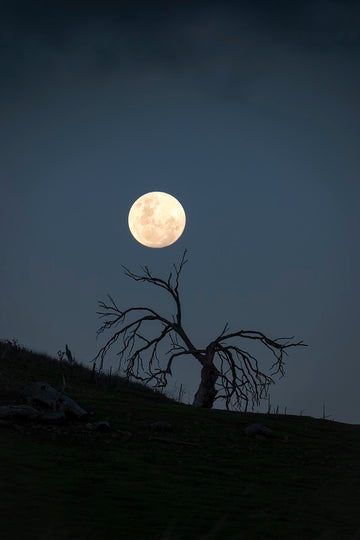 Midlands Moonrise