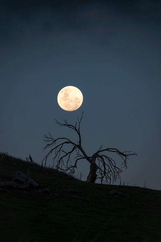 Midlands Moonrise