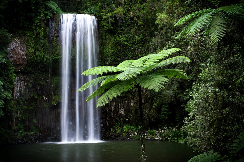Millaa Millaa Falls