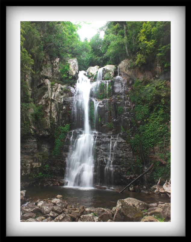 Minnamurra Falls