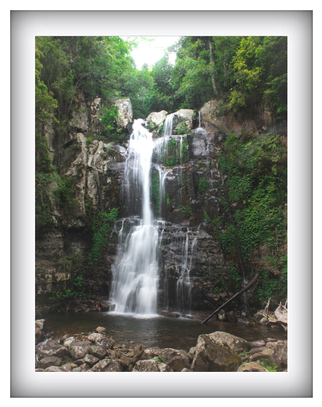 Minnamurra Falls