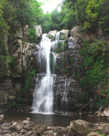 Minnamurra Falls
