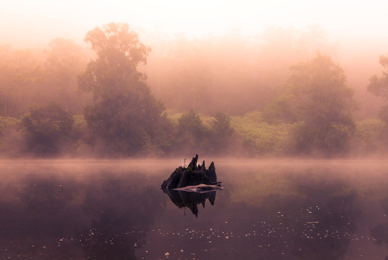 Mist on the Water