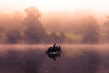 Mist on the Water