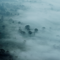 Mist in the Valley