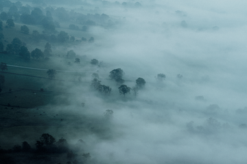 Mist in the Valley