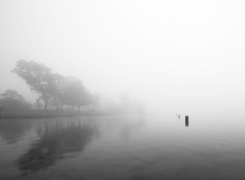 Misty Lake