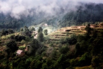 Misty Mountain