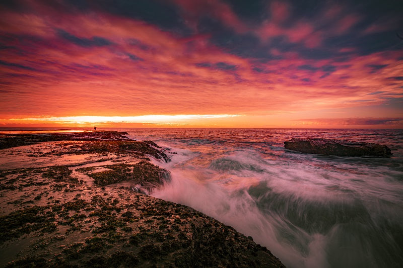 Mona Vale Seascape