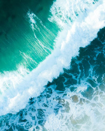 Mona Vale Riptide