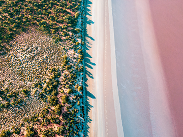 Mongers Lake Shoreline