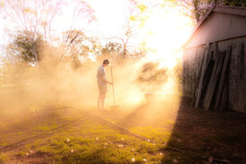 Rising Dust
