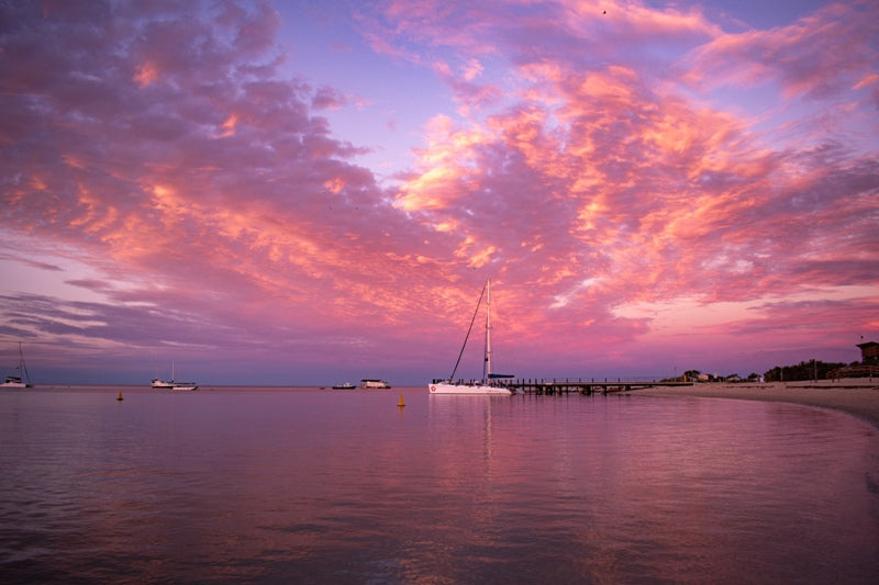 Monkey Mia Boat 5