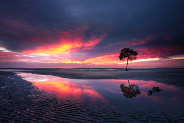 Moody Sunrise over Beachmere