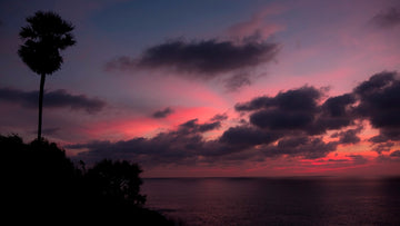 Moody Pink
