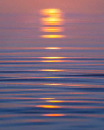Moonlight
