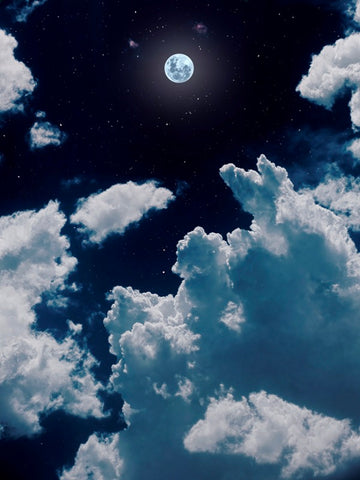 Moonlit