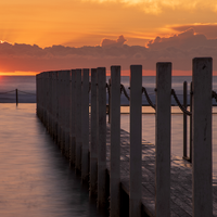Morning Swim at Narrabeen