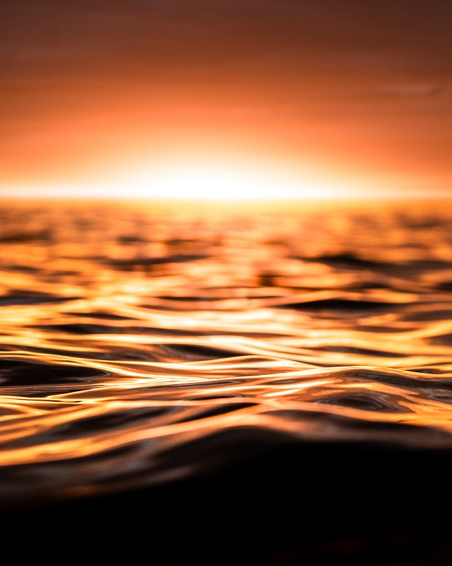 Morning Orange