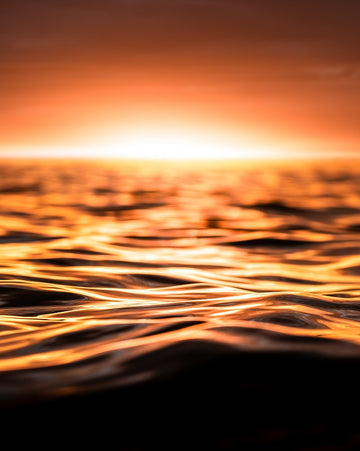 Morning Orange