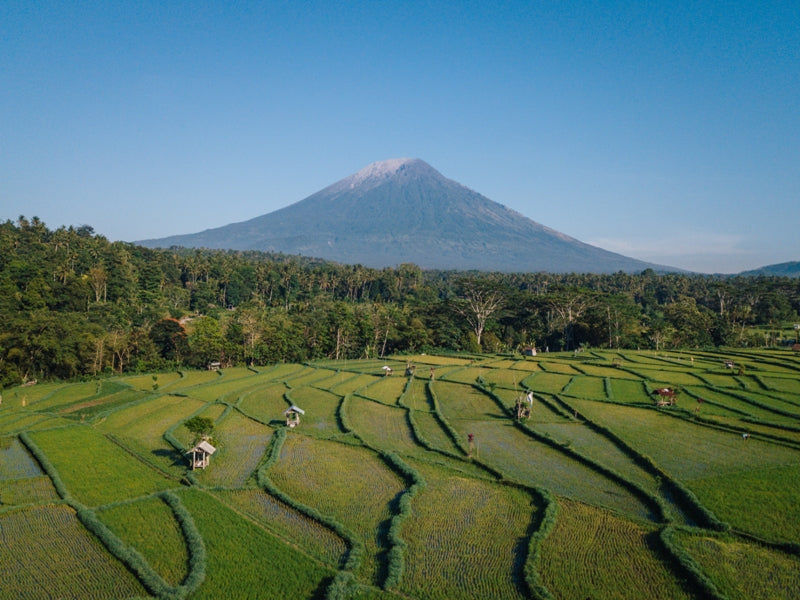 Mount Agung & Rice Fields in Bali