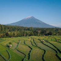 Mount Agung & Rice Fields in Bali