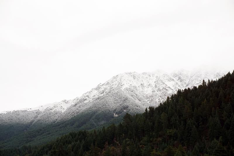 Misty Mountain