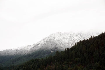 Misty Mountain