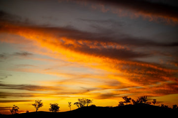 Mudgee Afterglow