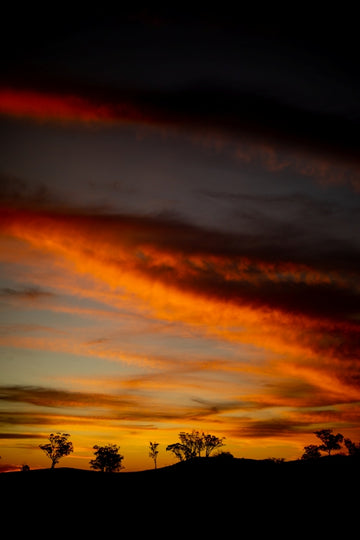 Mudgee Afterglow (Portrait)