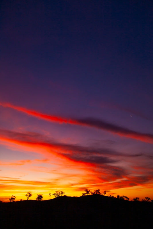 Mudgee Sunset (Portrait)