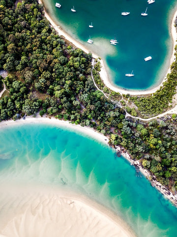Noosa Woods