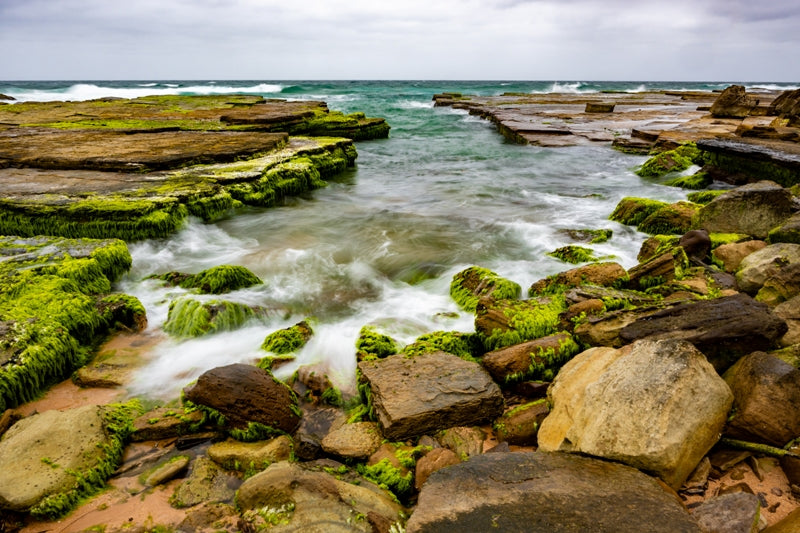 Narrabeen by the Ocean