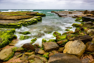 Narrabeen by the Ocean