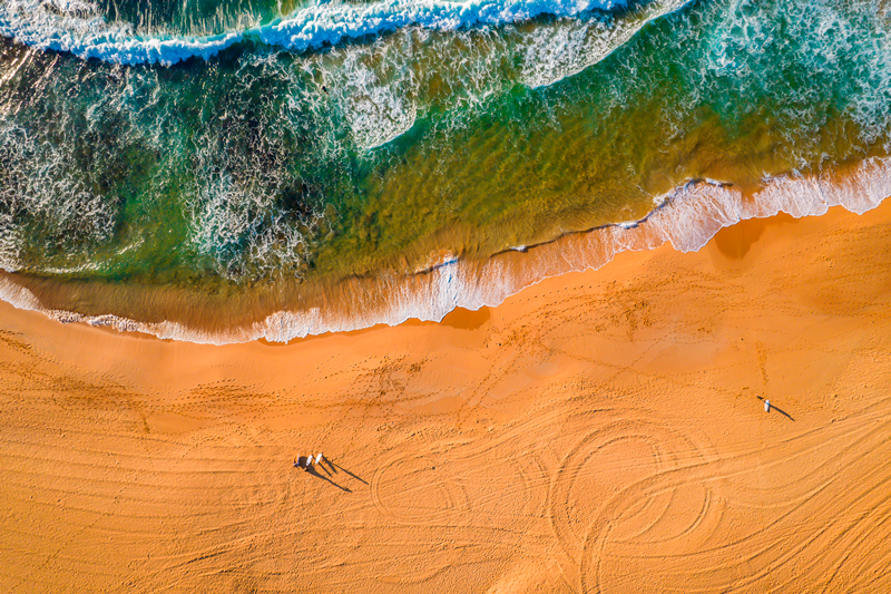 Narrabeen Surfers