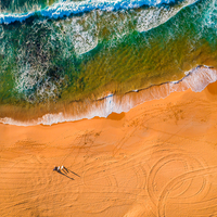 Narrabeen Surfers