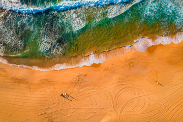 Narrabeen Surfers