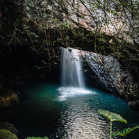 Natural Bridge Waterfall in Springbrook National Park, Gold Coast