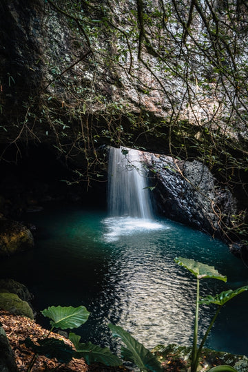 Natural Bridge Waterfall in Springbrook National Park, Gold Coast