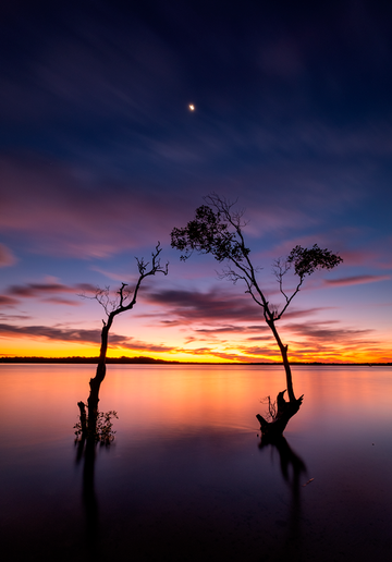 Natures Frame