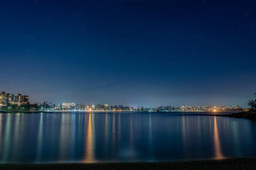 Nightime Shelly