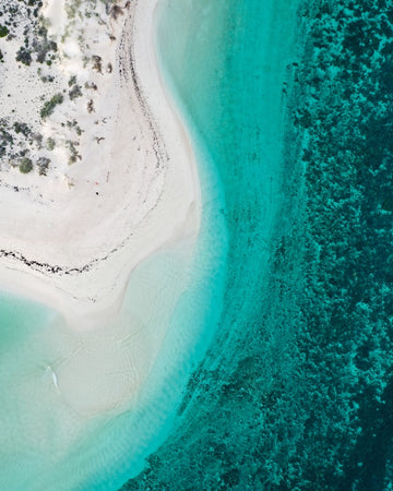 Ningaloo reef
